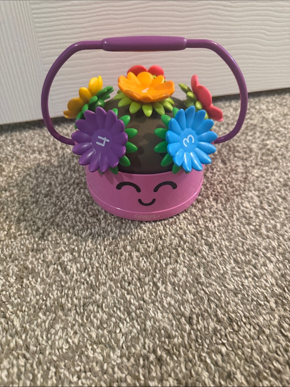 Flower Garden Pop-Up Toy - Purple & Multicolor